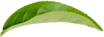 Hygge leaf