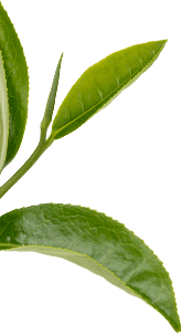 Hygge leaf